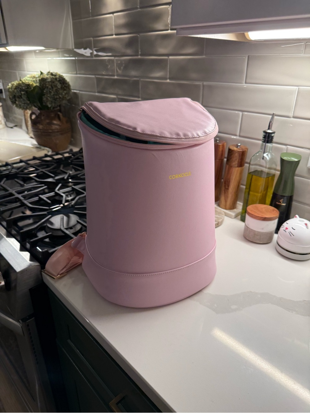 Corkcicle Backpack Cooler